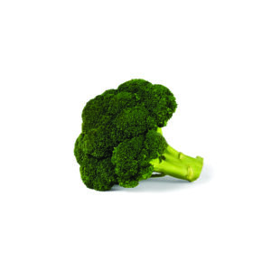 Brocoli (Unidad de 12 un.)