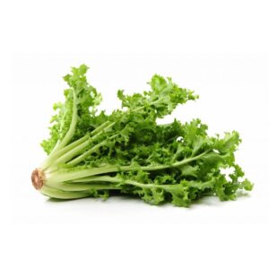 Escarola (8 Kg. x un)