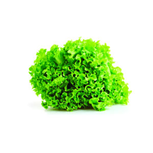 Lechuga Francesa (8 Kg. x un)