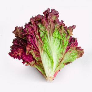 Lechuga Morada (8 Kg. x un)