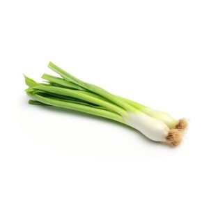 Puerro (Paquete de 10 un.)